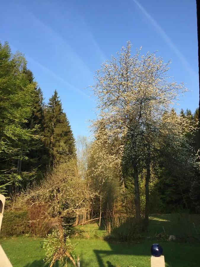 Das Alte Forsthaus Spiegelhuette Lindberg Germany